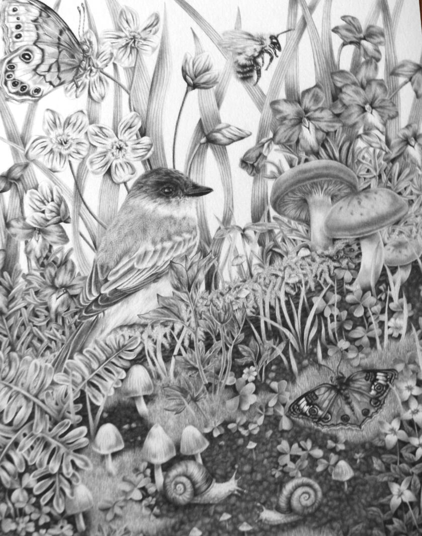 Drawing of a bird and butterflies