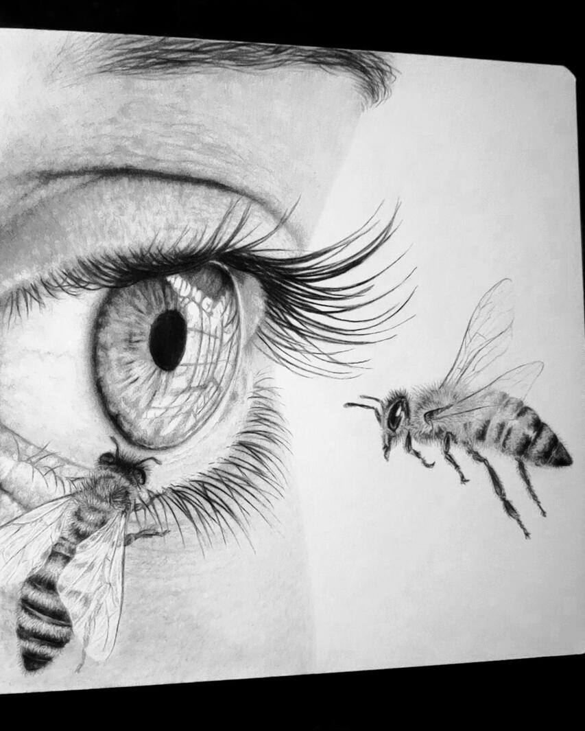 Bee looking at an eye